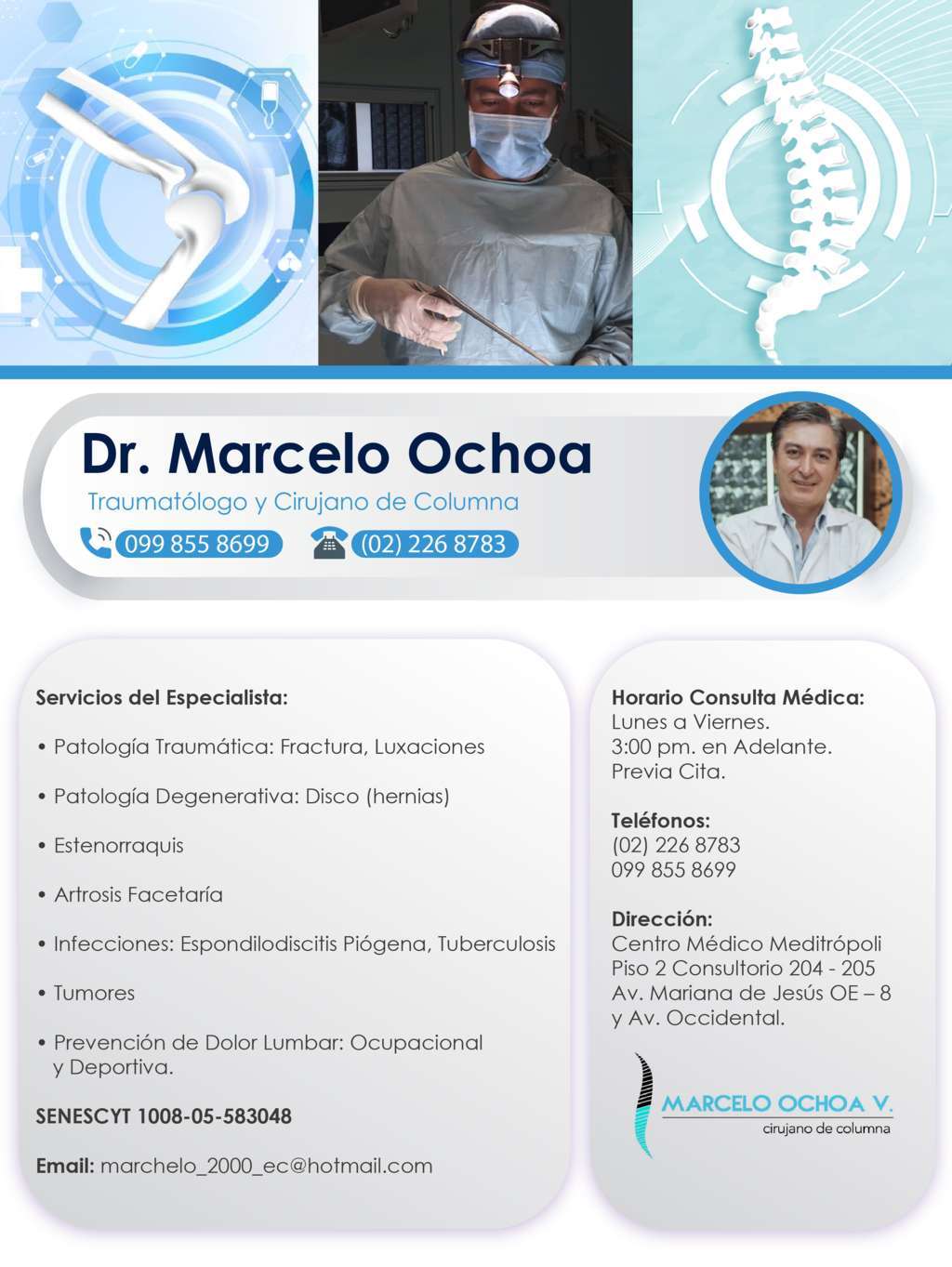 marcelo ochoa